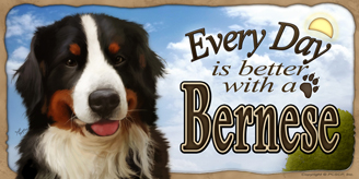 Bernese Mountain Dog_Every Day Sky sign